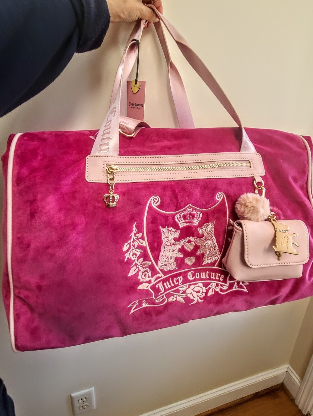 Juicy Couture Bag 💗